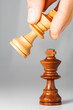 chessmate