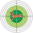 target - deer