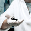 Black mouse in scientist's hand