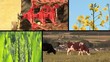 Landwirtschaft Display