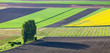 Photo: Trees and shadows at rural Swiss farmland Trees and shadows at rural Swiss farmland