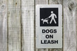 Dog on leash