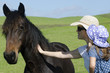 Horse farm