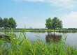 Typical landscape with a river in Netherlands