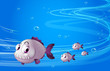 Four piranhas under the sea