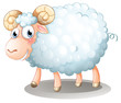 A Hairy Sheep