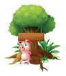 A pig standing in front of an empty wooden signboard