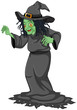 A scary old witch