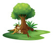 A young girl relaxing under a big tree