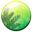 A green circle border