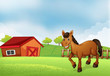 A horse at the farm with a barn at the back