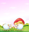 Two sheeps at the hill with mushrooms