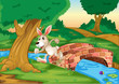 A bunny running across the bridge