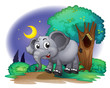 An elephant. in the forest