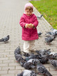  girl feeding pigeons  in park
