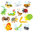 Vector: Insects Insects
