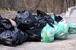 garbage in the forest