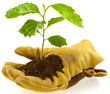 Photo: concept environnement, écologie, protection nature concept environnement, écologie, protection nature