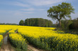 Ressource Natur in Schleswig-Holstein