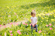 Little girl among tulips