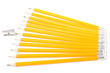 Twelve new oranges pencils and pencil sharpener