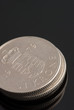 danish money