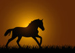 Pferd