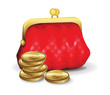 Purse For Money