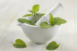 Citronnelle - Plante médicinale
