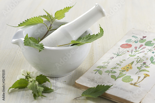 Photo: Herboristerie - Ortie, plante médicinale Herboristerie - Ortie, plante médicinale