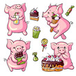 Cartoon pigs