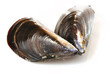 Mejillones crudos.