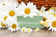 canvas print picture - Margeriten mit Schild "Willkommen"