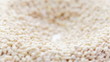 Barley Scoop