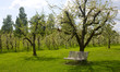 Wooden bench