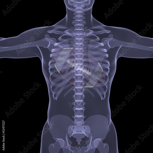 Illustration: Ball for American football in the chest Ball for American football in the chest