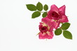 真っ赤な薔薇のアレンジ