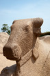 Five Rathas temple