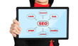seo scheme