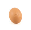 Cracked broken egg shell isolated