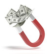 magnet with dollar banknotes