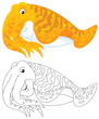 cuttlefish