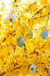 Bunte Ostereier eier an einem forsythie Strauch zu Ostern