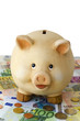 Dickes Sparschwein und Eurogeld