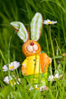 Osterhase symbol mit Gänseblümchen zu Ostern in einer grünen