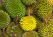 durian fruits, thailand
