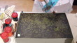 Turkish Paper Marbling (Ebru Art)