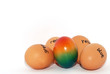 englisch beschriftete eier zu ostern mit bunt