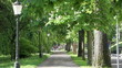 Fußgängerweg im Park
