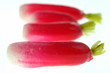 Des radis